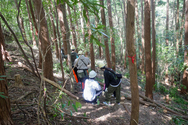 四国銀行に就職したら山で研修するらしい！？新入行員が山から学ぶ大切なこととは