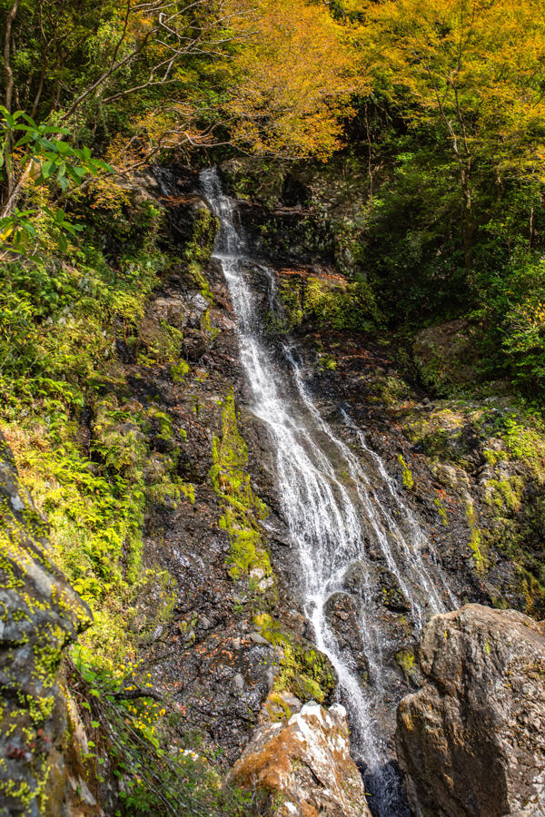 秋の訪れを感じる山姥の滝！高知市内からほど近い紅葉スポット
