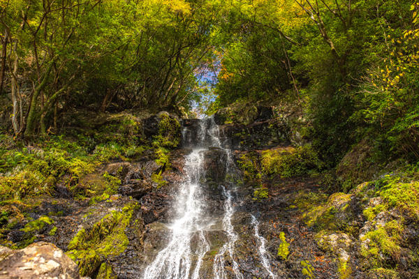 秋の訪れを感じる山姥の滝！高知市内からほど近い紅葉スポット
