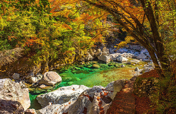 安居渓谷の秋！仁淀ブルーと紅葉が織りなす詩的風景