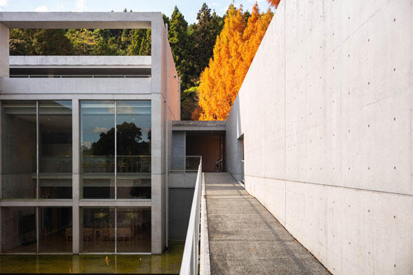 横倉山自然の森博物館|メタセコイアと安藤建築。森に佇むアートのような博物館