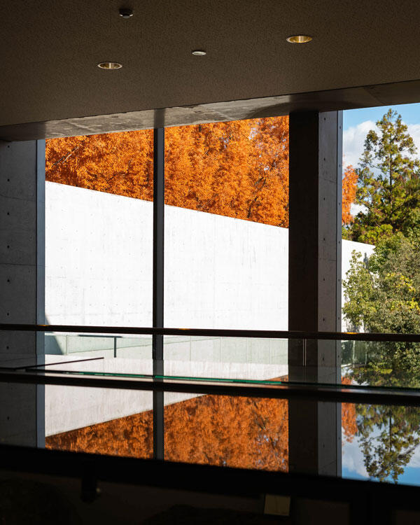 横倉山自然の森博物館|メタセコイアと安藤建築。森に佇むアートのような博物館