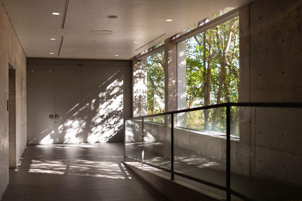 横倉山自然の森博物館|メタセコイアと安藤建築。森に佇むアートのような博物館