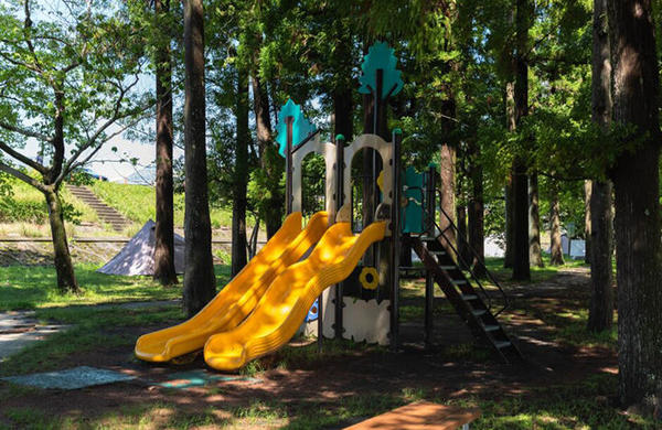 波川公園｜仁淀川で自然を満喫！アクセス抜群の癒しスポット