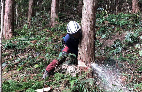 高知県嶺北地域で取り組む山と都市そして人を結び未来へ繋げる「もりとみず基金」とは