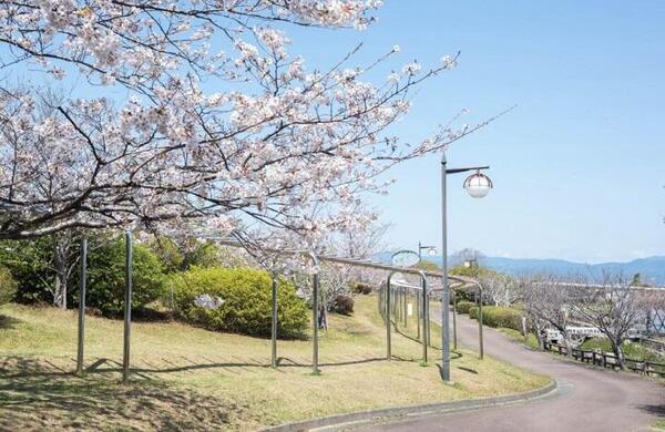 桜づつみ公園はただの花見スポットじゃない！世界に誇る遊具と自然が魅力