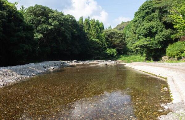 桑ノ川わんぱく河川プール｜自然の中で川遊び！親子で楽しむ夏の思い出スポット