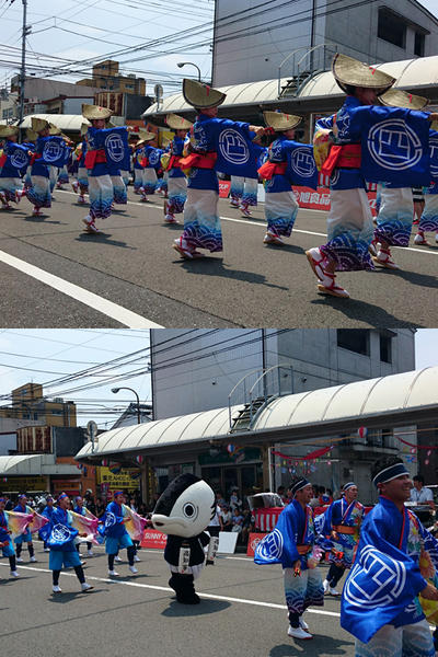 2017年 よさこい祭り 本番1日目