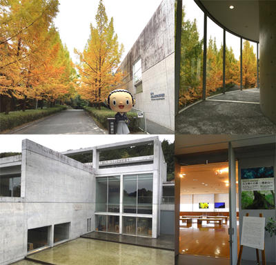紅葉と芸術に秋に横倉山自然の博物館に行ってきたで