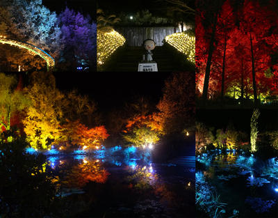 幻想的!　光のフェスタ in モネの庭