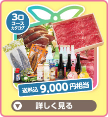3口コースカタログ