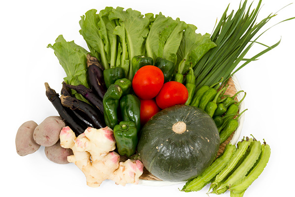 高知の新鮮野菜セット