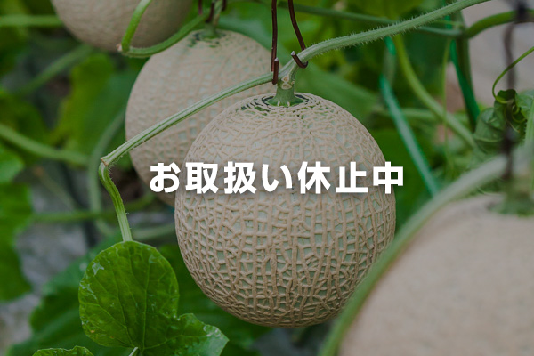 西島園芸団地のマスクメロン