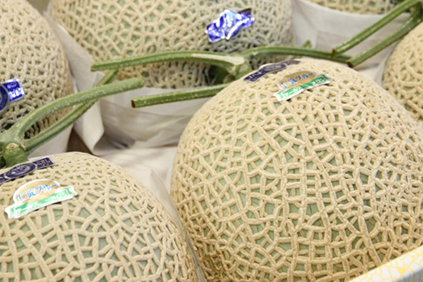 アールスメロン