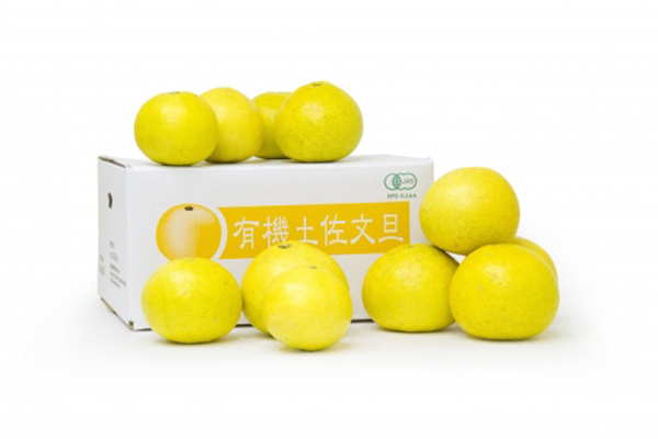 無農薬JAS有機栽培の文旦