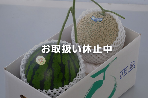 西島園芸団地のマスクメロン&ハウススイカ